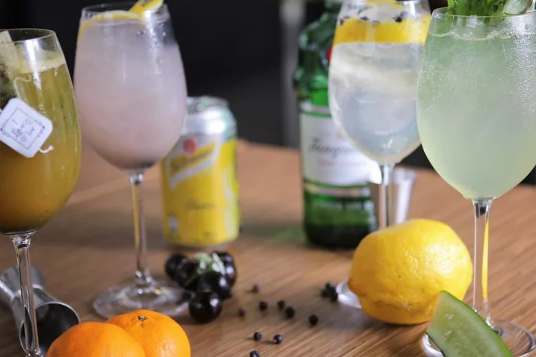 Gin é a melhor bebida para não fugir da dieta